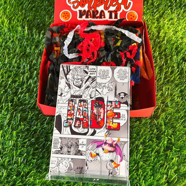 04000002-Cuadro Dragon Ball-2